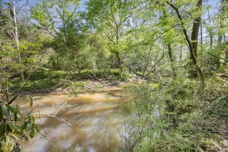 463 Acres Timberland on Tickfaw River St Helena Parish, LA - image 7