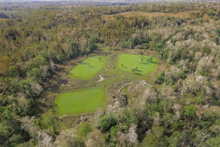 463 Acres Timberland on Tickfaw River St Helena Parish, LA - image 1