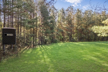 463 Acres Timberland on Tickfaw River St Helena Parish, LA - image 2