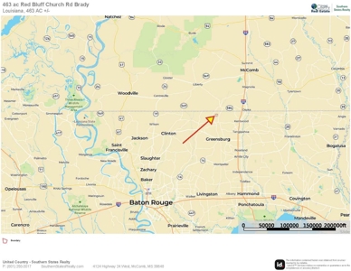 463 Acres Timberland on Tickfaw River St Helena Parish, LA - image 11