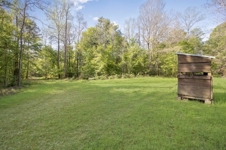 463 Acres Timberland on Tickfaw River St Helena Parish, LA - image 6