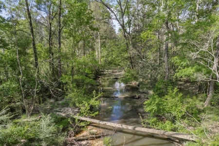 463 Acres Timberland on Tickfaw River St Helena Parish, LA - image 4