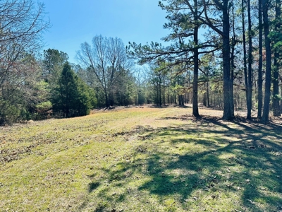 Land For Sale In Arkansas - image 13