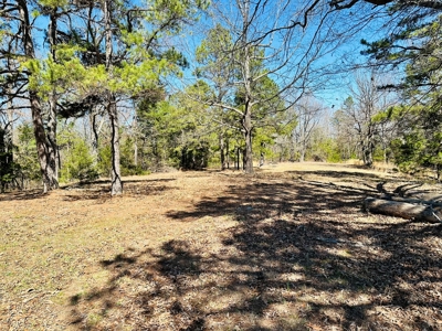 Land For Sale In Arkansas - image 14