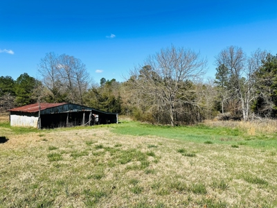 Land For Sale In Arkansas - image 3