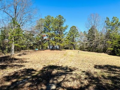 Land For Sale In Arkansas - image 12