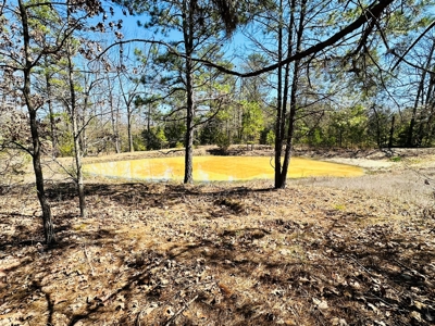 Land For Sale In Arkansas - image 10