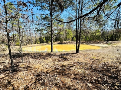 Land For Sale In Arkansas - image 11