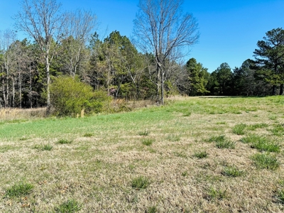 Land For Sale In Arkansas - image 4