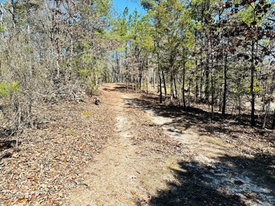 Land For Sale In Arkansas - image 8