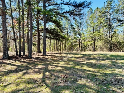 Land For Sale In Arkansas - image 15