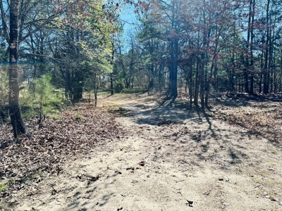 Land For Sale In Arkansas - image 9