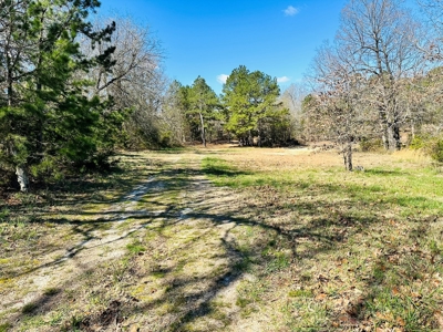 Land For Sale In Arkansas - image 7