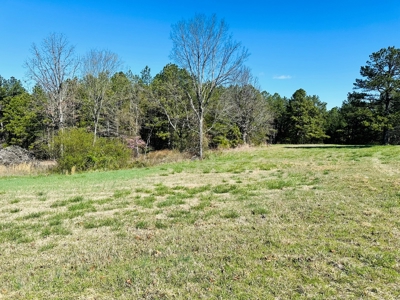 Land For Sale In Arkansas - image 2