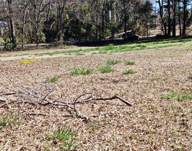 1.3 Acre Plot with Barn, Fencing, Chesterfield South Carolin - image 11