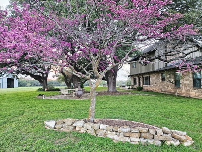 Rancho Roble: A Luxurious Countryside Retreat - image 46