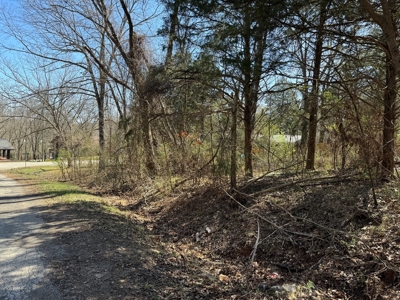 Lot For Sale in Cherokee Village, AR - image 2