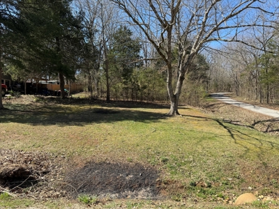 Lot For Sale in Cherokee Village, AR - image 1