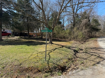 Lot For Sale in Cherokee Village, AR - image 3