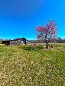 Log Style Home With Acreage For Sale Near Van Buren Missouri - image 30