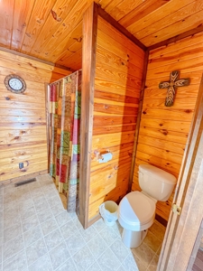 Log Style Home With Acreage For Sale Near Van Buren Missouri - image 8
