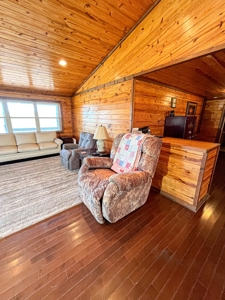 Log Style Home With Acreage For Sale Near Van Buren Missouri - image 17