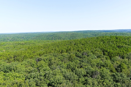 Log Style Home With Acreage For Sale Near Van Buren Missouri - image 42