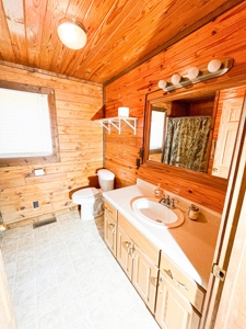 Log Style Home With Acreage For Sale Near Van Buren Missouri - image 4