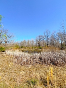 Log Style Home With Acreage For Sale Near Van Buren Missouri - image 29