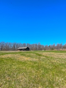 Log Style Home With Acreage For Sale Near Van Buren Missouri - image 28