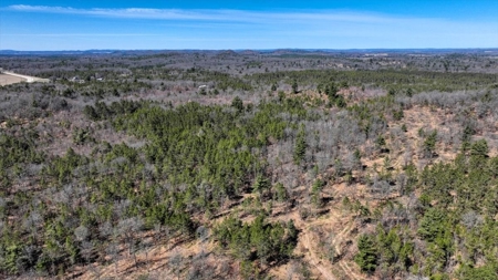 Gently Rolling Forest – Sparta, WI - image 13
