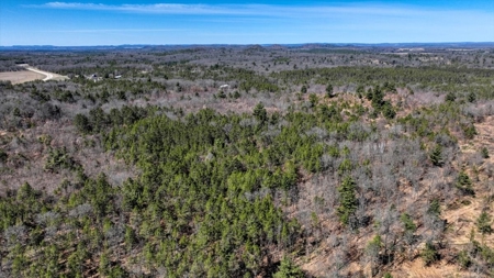 Gently Rolling Forest – Sparta, WI - image 14