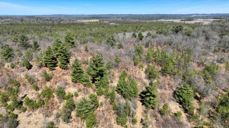 Gently Rolling Forest – Sparta, WI - image 1