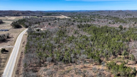 Gently Rolling Forest – Sparta, WI - image 11