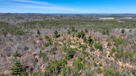 Gently Rolling Forest – Sparta, WI - image 21