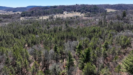 Gently Rolling Forest – Sparta, WI - image 24