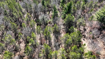 Gently Rolling Forest – Sparta, WI - image 23
