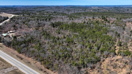 Gently Rolling Forest – Sparta, WI - image 10