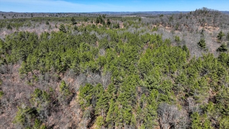Gently Rolling Forest – Sparta, WI - image 8