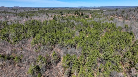 Gently Rolling Forest – Sparta, WI - image 7
