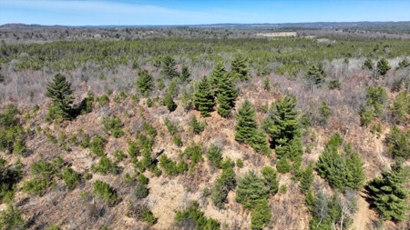 Gently Rolling Forest – Sparta, WI - image 3