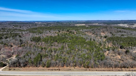 Gently Rolling Forest – Sparta, WI - image 19