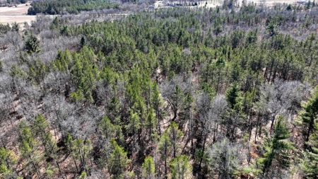 Gently Rolling Forest – Sparta, WI - image 4