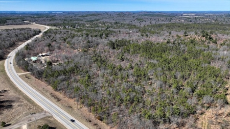Gently Rolling Forest – Sparta, WI - image 9