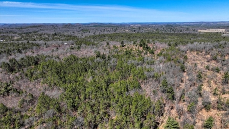 Gently Rolling Forest – Sparta, WI - image 15