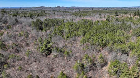 Gently Rolling Forest – Sparta, WI - image 6