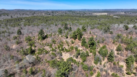 Gently Rolling Forest – Sparta, WI - image 22