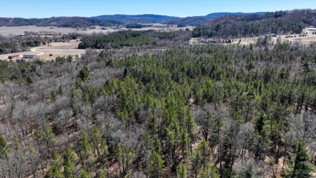 Gently Rolling Forest – Sparta, WI - image 25