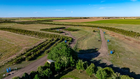 Colorado Guest Ranch For Sale Near Denver - image 16