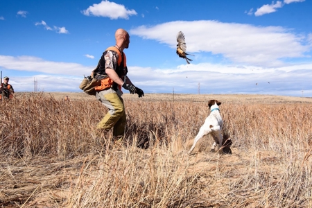 Colorado Guest Ranch For Sale Near Denver - image 13